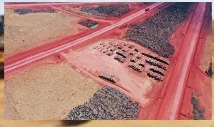 Vista aérea de pátio com pilhas de toras organizadas em fileiras, cortado por estradas de terra vermelha