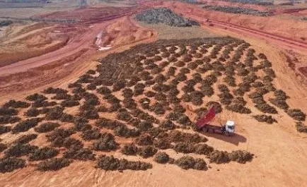 Vista aérea de pátio aberto na floresta, com leiras de galhos e toras enfileiradas e um caminhão basculante