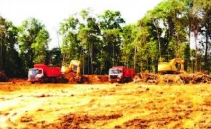Caminhões basculantes e escavadeiras trabalhando em área desmatada junto à floresta